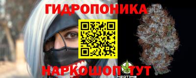 гашик Абакан