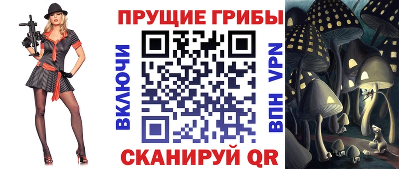 Галлюциногенные грибы мухоморы  где можно купить   Алексин 