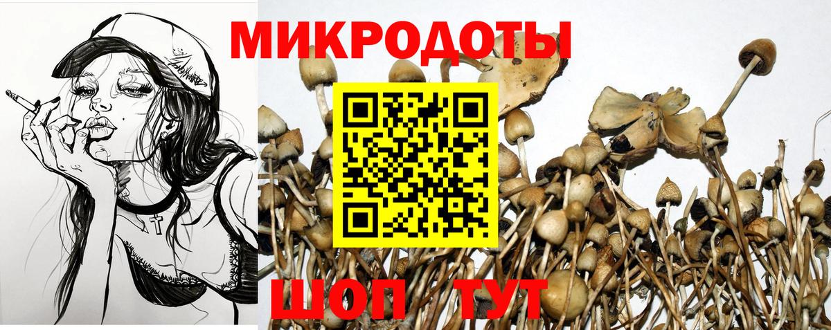 купить наркотик  Галлюциногенные грибы мицелий  Алексин  Вход с VPN  Псилоцибиновые грибы мухоморы 