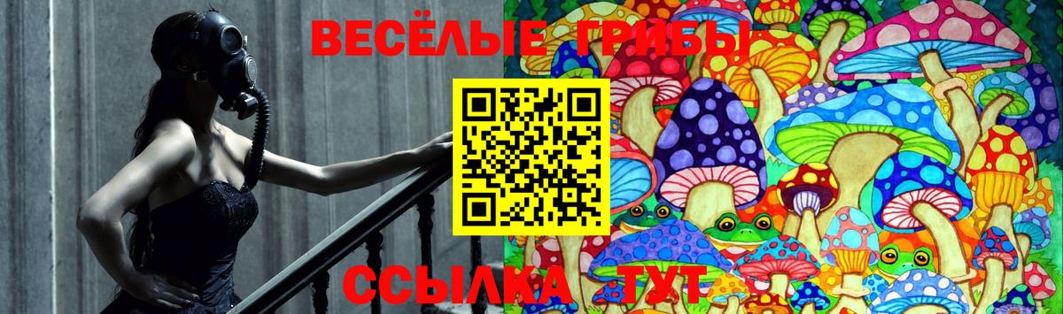 Псилоцибиновые грибы ЛСД Алексин