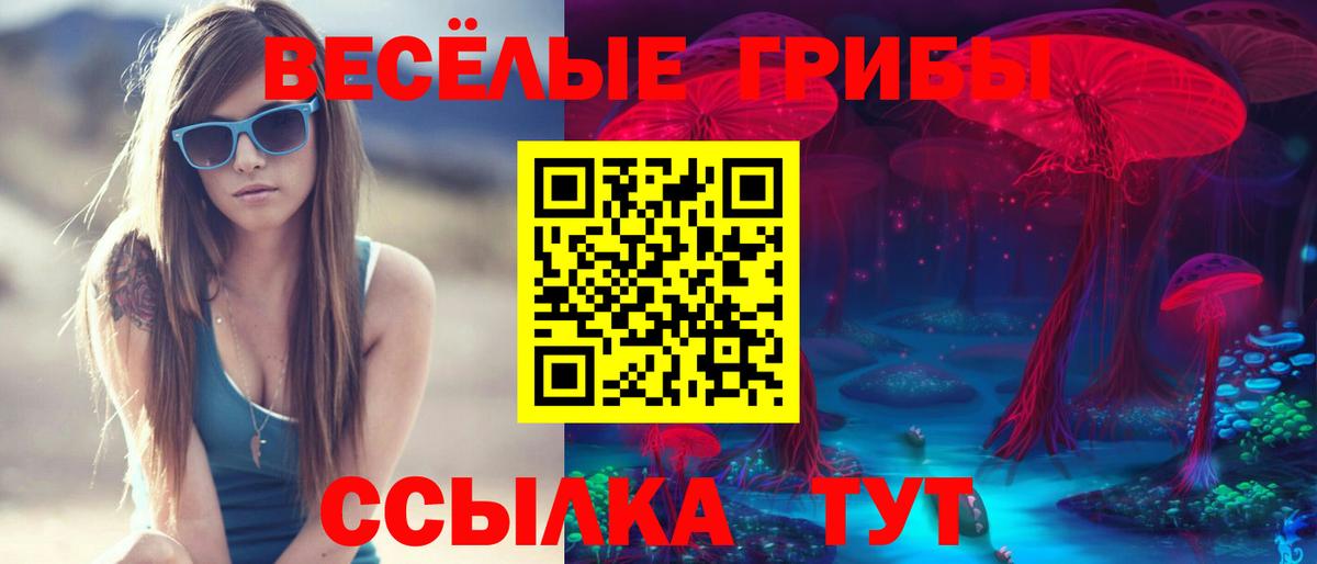 Галлюциногенные грибы GOLDEN TEACHER Алексин